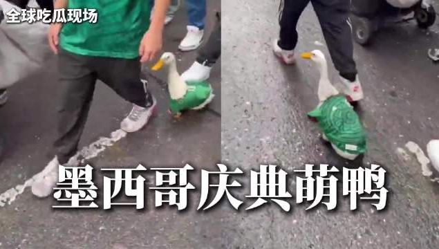 太强了!陶汉林狂砍16+12!王岚嵚零失误封神,山东力克天津