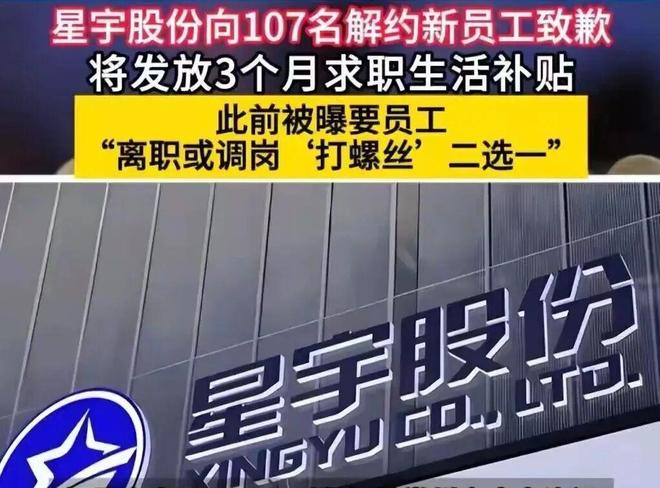 未卡携手F1车手Ollie Bearman推出全新赛道宠物出行系列